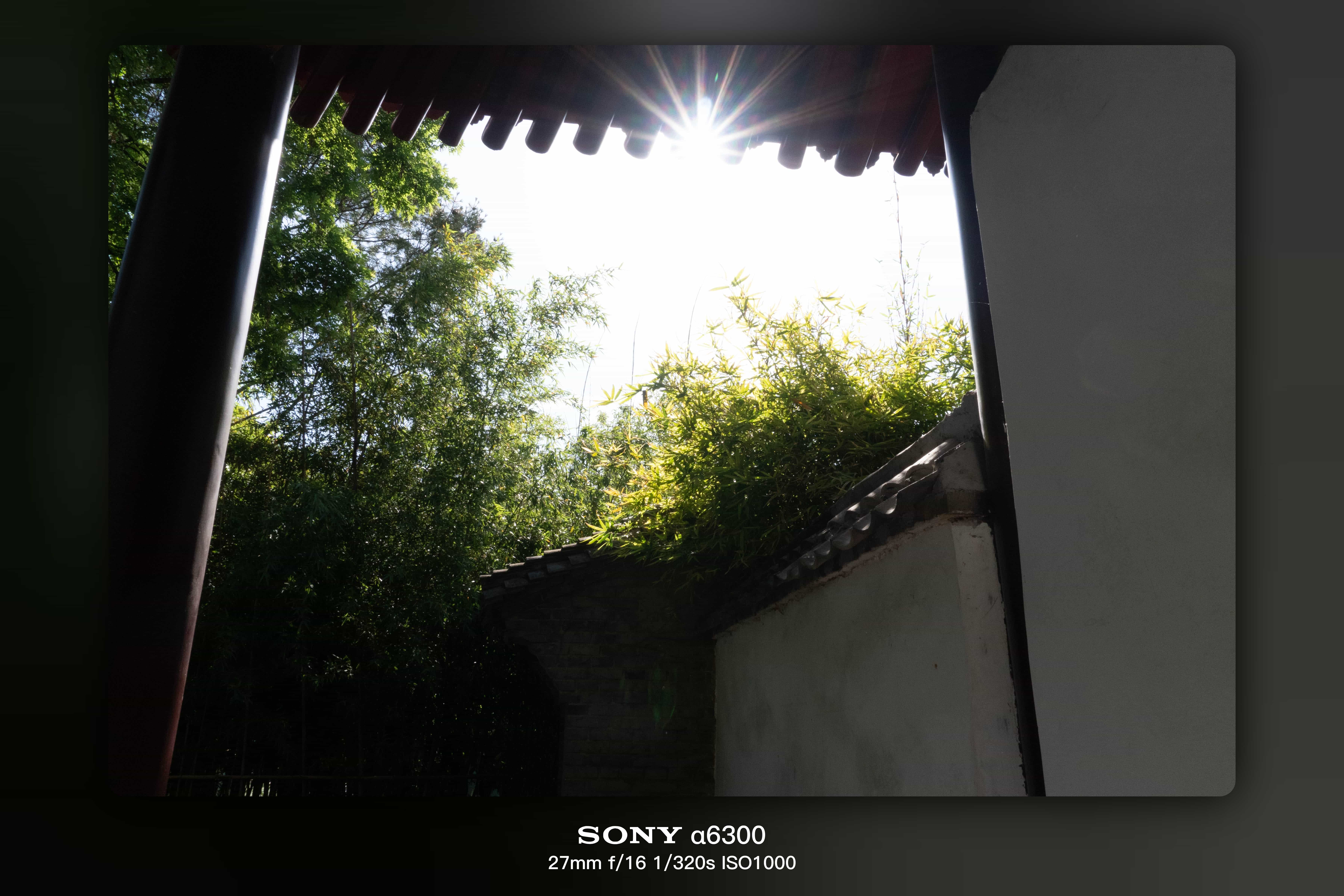 DSC00402.jpg